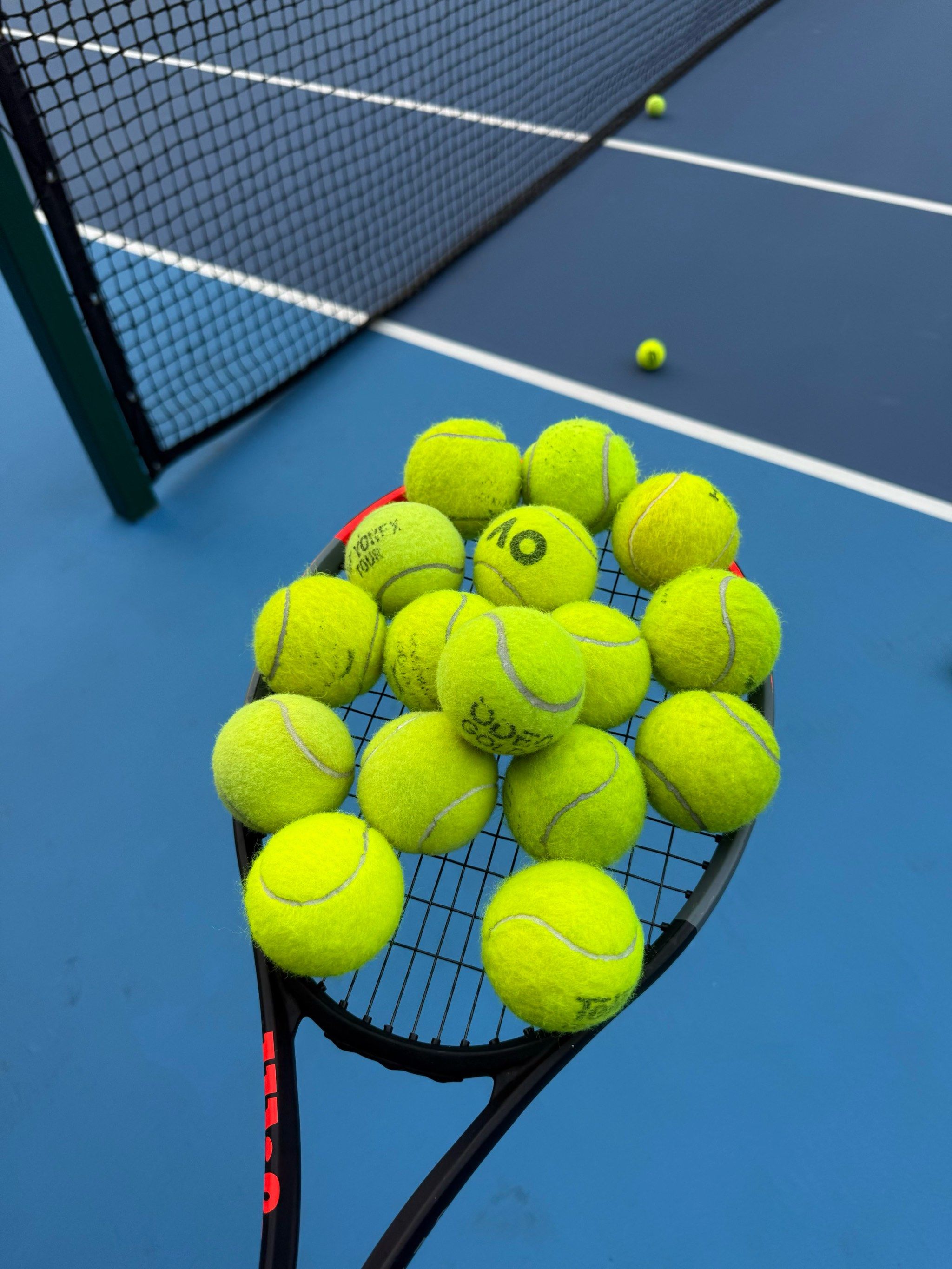 不能被称为 不能被称为